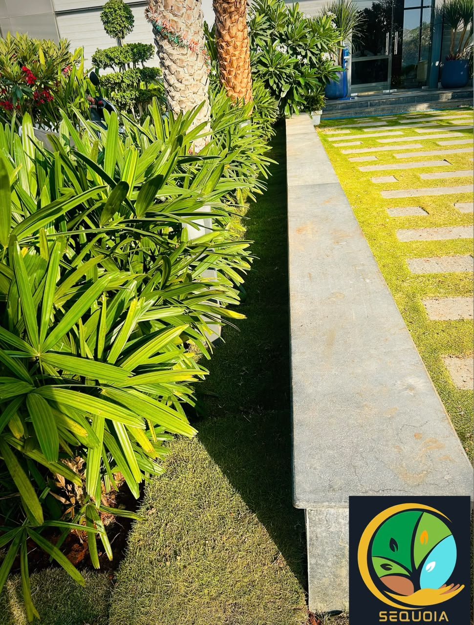 Layered tropical foliage beside a raised stone edge and lawn path