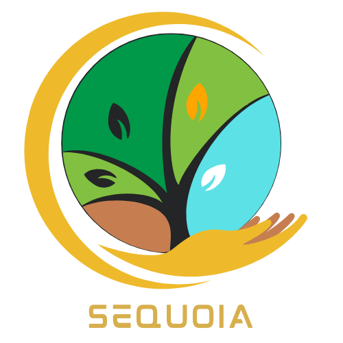Sequoia